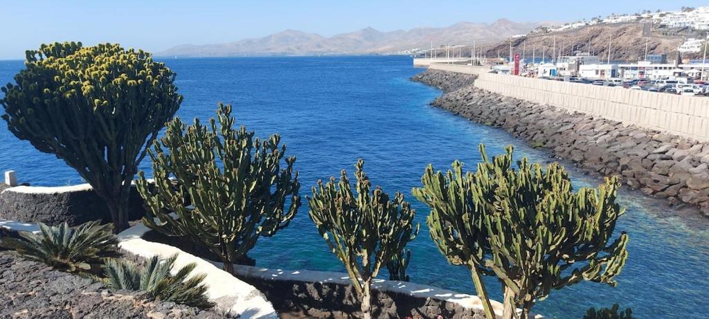 Oceanview Apartment Puerto del Carmen  Kültér fotó